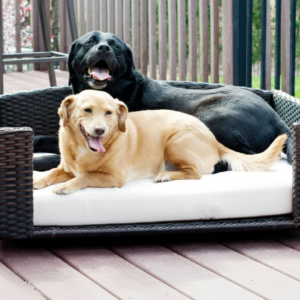 Luxury Rattan Rectangular Pet Sofa Bed – Washable Cushion Dog & Cat Couch (Indoor/Outdoor)