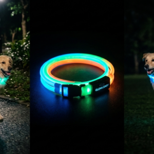 LED Dog Collar – Rechargeable Glow Collar for Night Walking